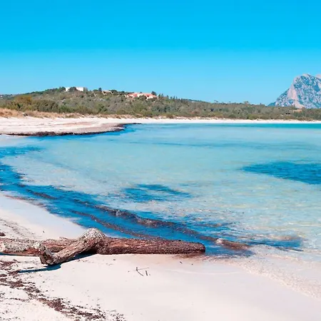 Mediterranean Retreat In Sardinia Апартаменты